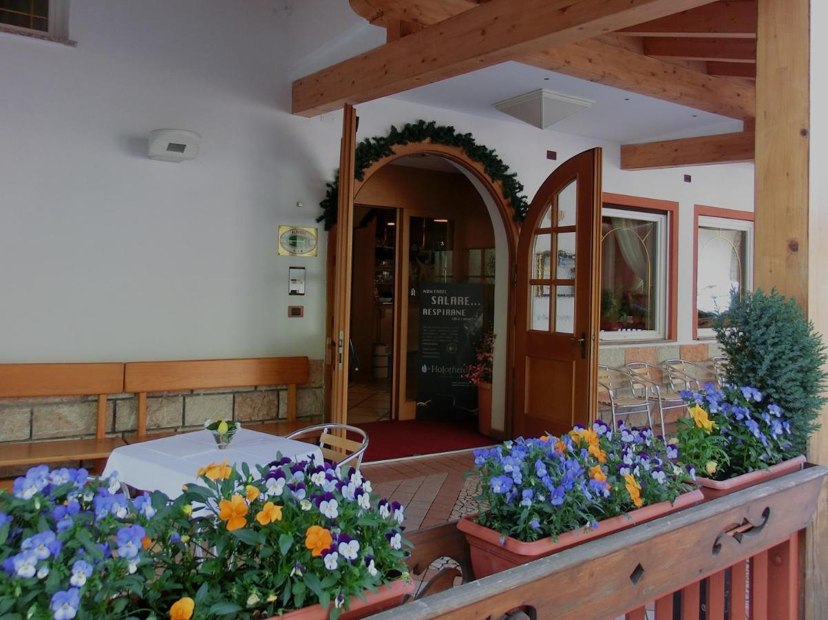 Hotel Belvedere Wellness & Family Базельга-ді-Піне Екстер'єр фото