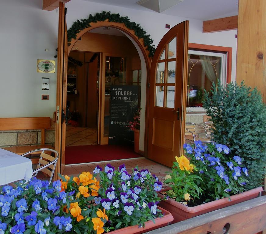 Hotel Belvedere Wellness & Family Базельга-ді-Піне Екстер'єр фото